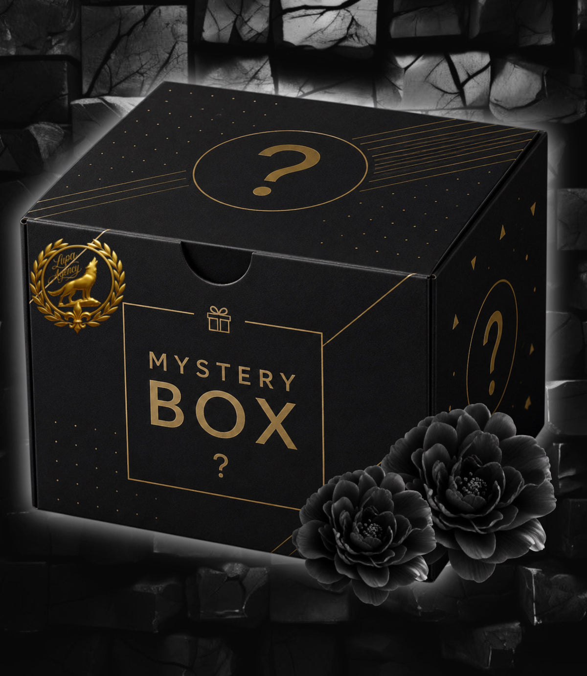 XXXL Schwarze Mystery Box/Giant Mystery Box Black