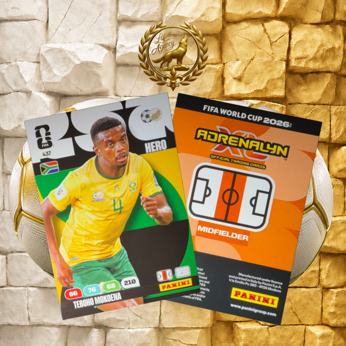 Panini FIFA World Cup 2026 Adrenalyn XL #437 Teboho Mokoena South Africa Original - FIFA WM 2026 - Panini Sammelkarten- Nr. 437 - Teboho Mokoena - Südarfika